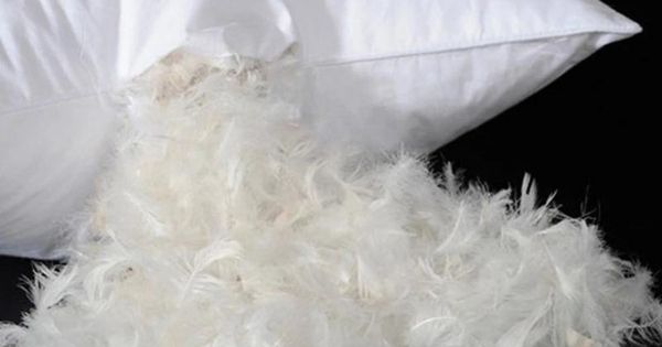 1.-Garnissage-d-oreiller-le-duvet-confort-dream